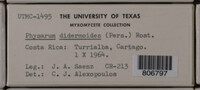 Image Associated With the Occurence